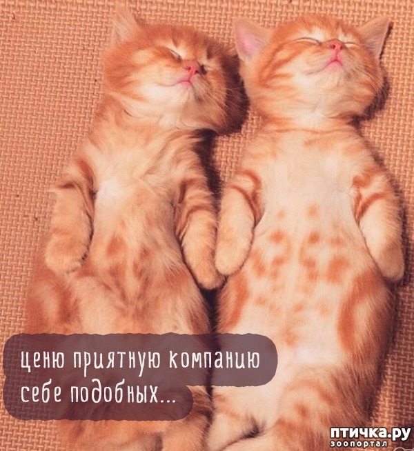 ���� 8: ���������� �������� ����.