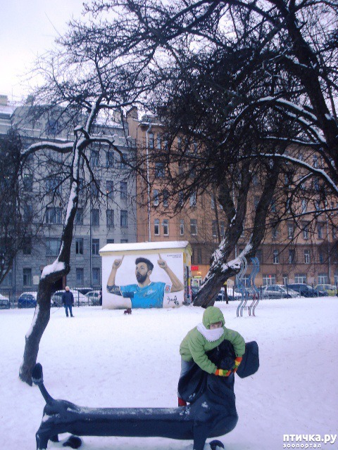 ���� 1: ������� ����� �����?