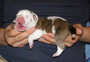 ����: ���� ���� �� ����� ����������.