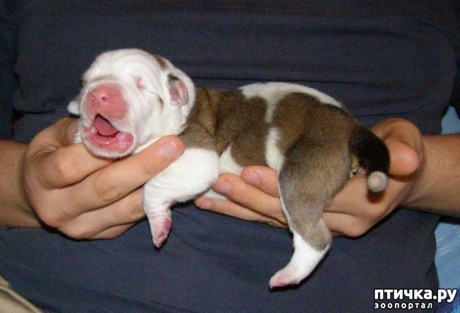 ���� 1: ���� ���� �� ����� ����������.