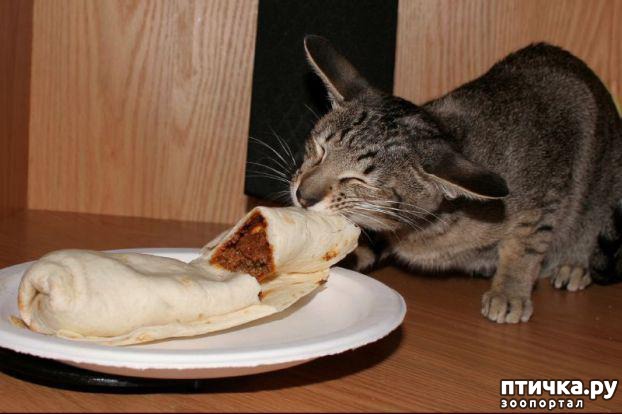 ���� 4: �� ��� ���� ���������!