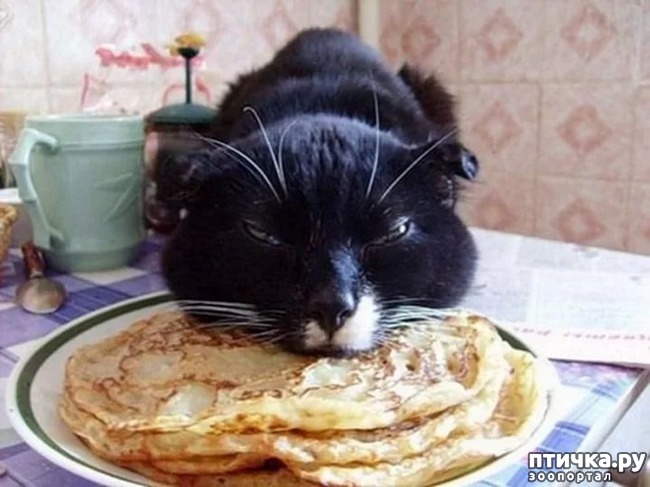 ���� 6: �� ��� ���� ���������!