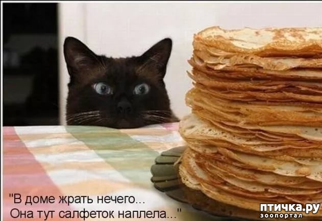 ���� 11: �� ��� ���� ���������!