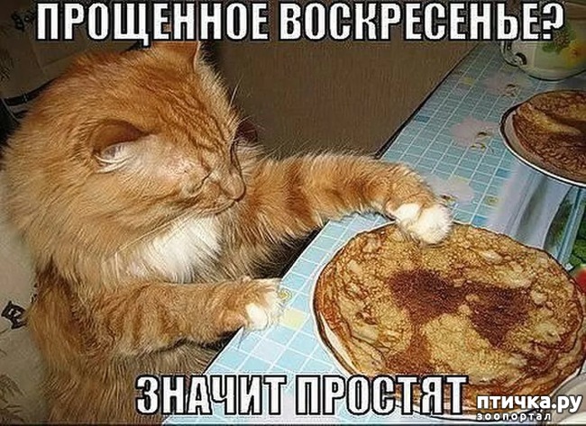 ���� 5: �� ��� ���� ���������!