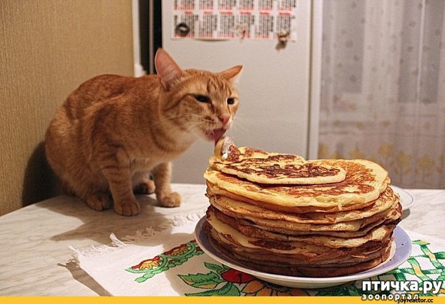 ���� 14: �� ��� ���� ���������!