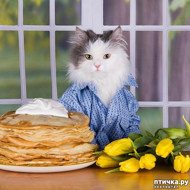 ���� 8: �� ��� ���� ���������!