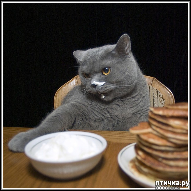 ���� 13: �� ��� ���� ���������!