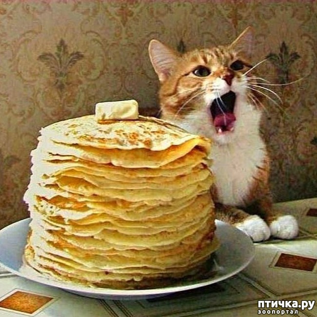 ���� 16: �� ��� ���� ���������!