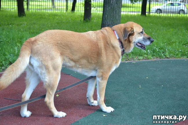 ���� 6: ����� � ����.