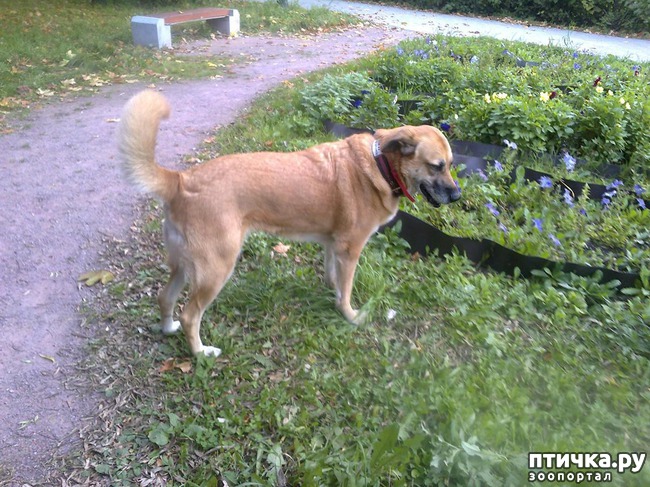 ���� 7: ����� � ����.