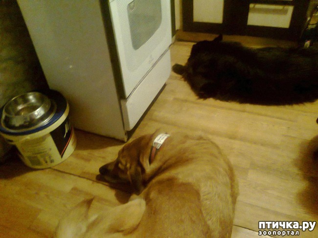 ���� 8: ����� � ����.