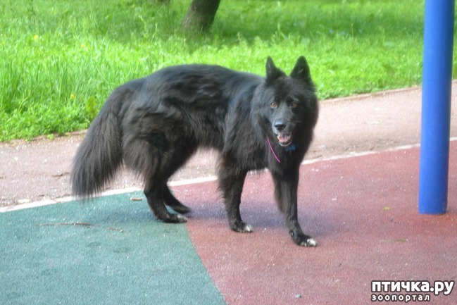 ���� 4: ����� � ����.