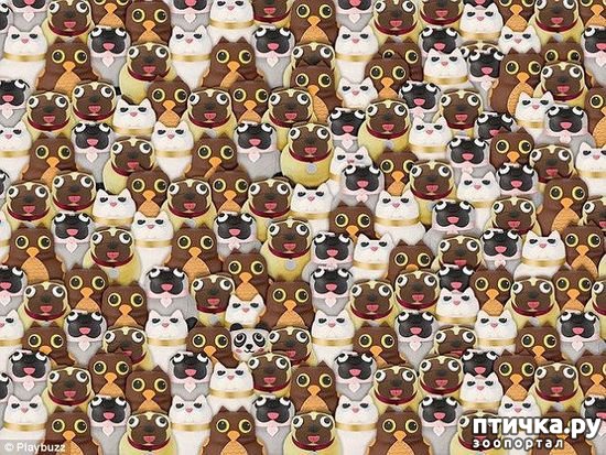 ���� 2: ���� �� ��������������