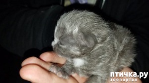 ����: ������������� ������� ��������� ��������� �� ��� ����� � ������ �� �������