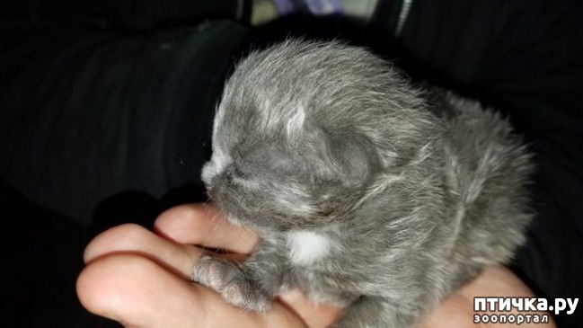 ���� 1: ������������� ������� ��������� ��������� �� ��� ����� � ������ �� �������