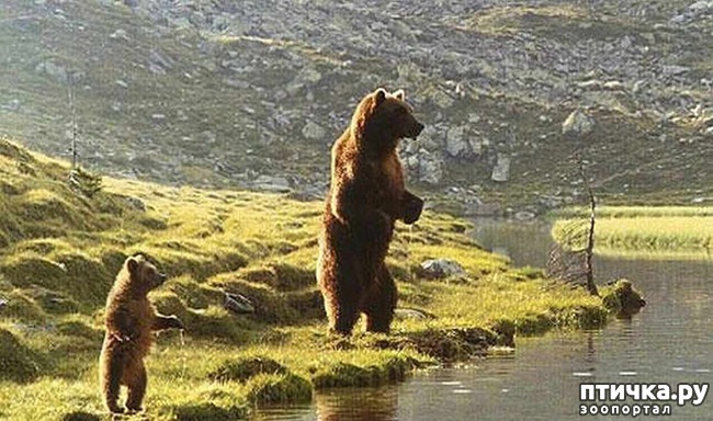 ���� 1: �������