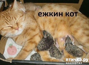 ����: ����� ��� ��-���� ����������!