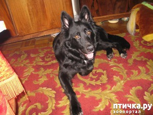 ����: ����� � ����.