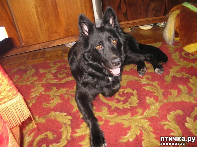 ���� 1: ����� � ����.