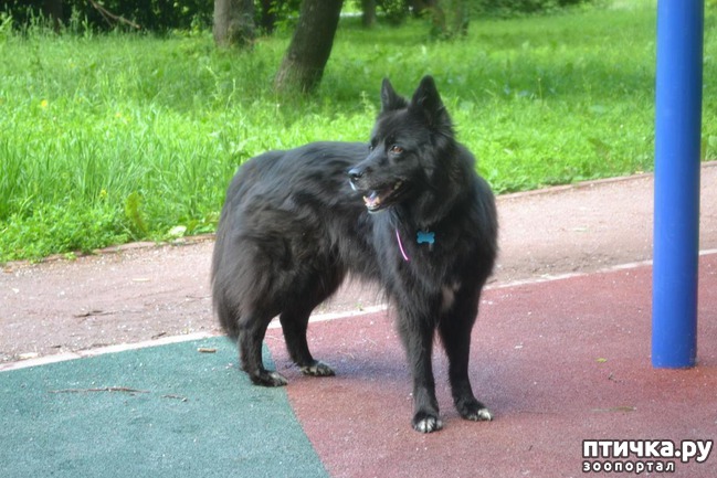 ���� 2: ����� � ����.