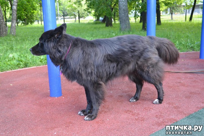 ���� 3: ����� � ����.