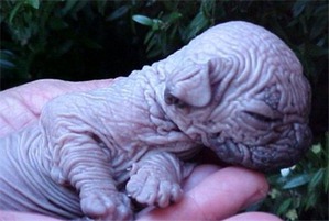 ����: ��������� ����� ������