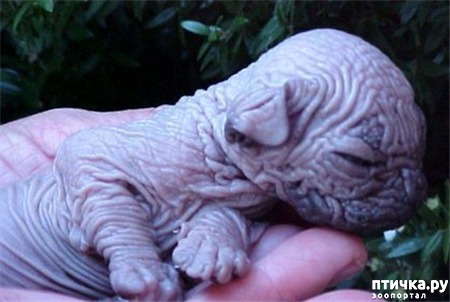 ���� 1: ��������� ����� ������