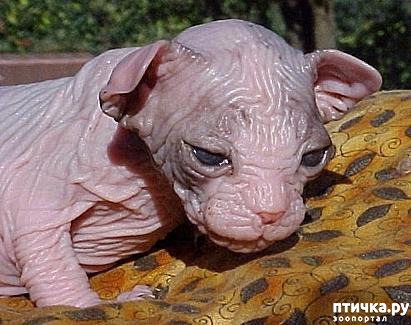 ���� 2: ��������� ����� ������