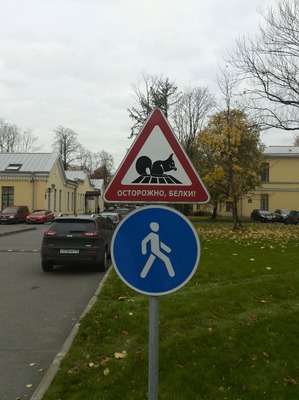 ����: ����� � ������ ������...