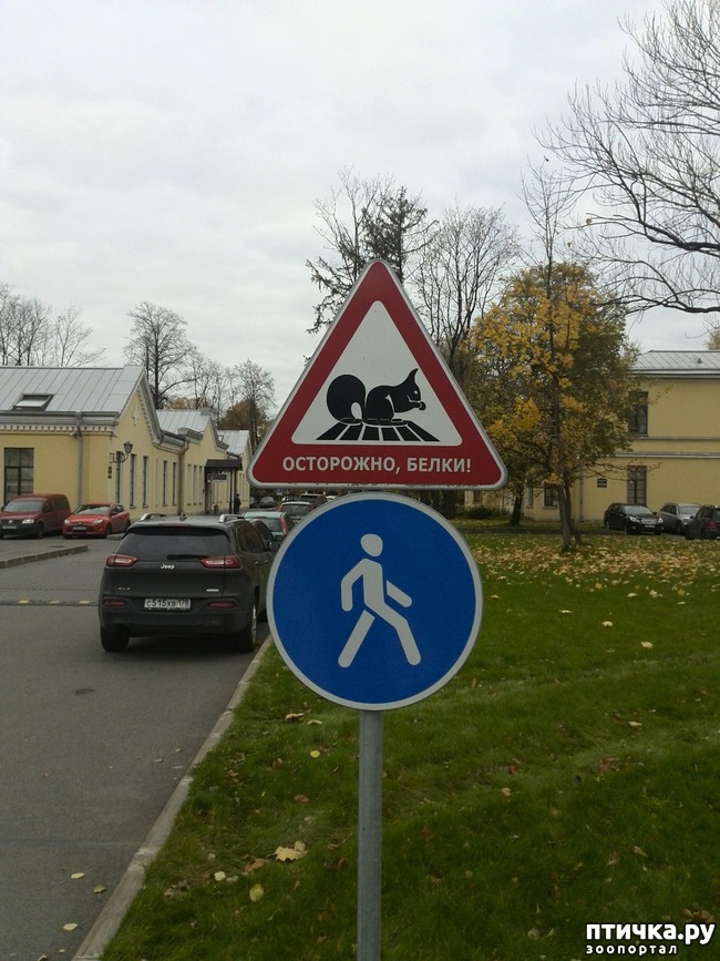 ���� 1: ����� � ������ ������...