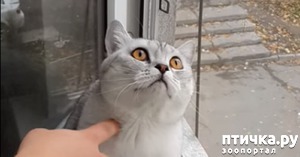 ����: ��������� ��� ������� ���� (�����)