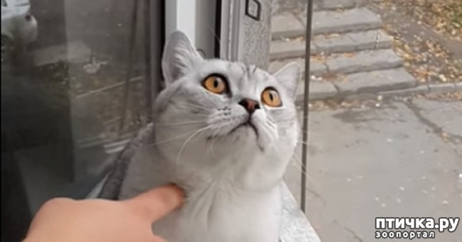 ���� 1: ��������� ��� ������� ���� (�����)