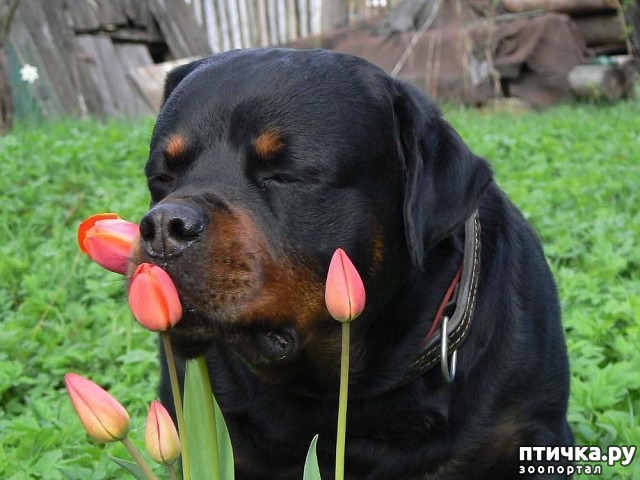 ���� 1: ���-��������