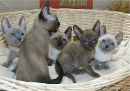 ���� 2: ����� ������ ����� �� �����