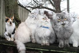 ���� 4: ����� ������ ����� �� �����