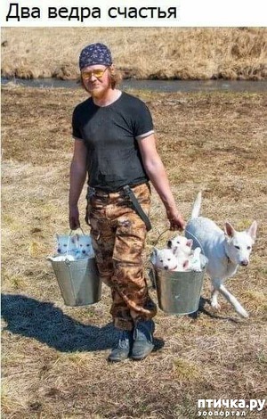 ����: ��� ����� �������