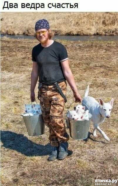 ���� 1: ��� ����� �������