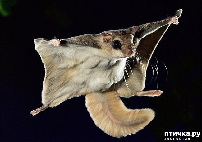 ���� 1: ����� ������