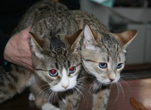 ����: ������ �������?