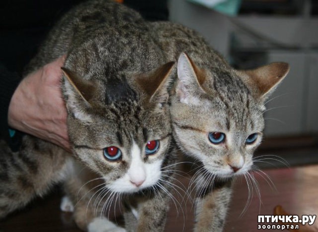 ���� 1: ������ �������?