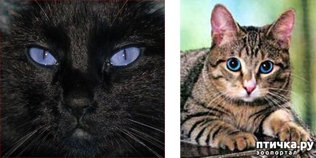 ���� 2: ������ �������?