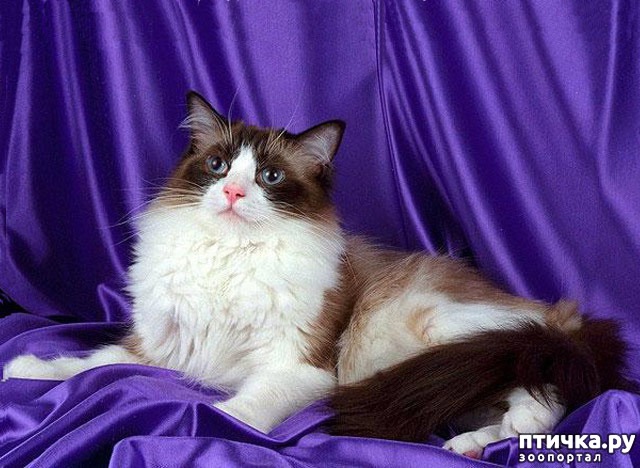 ���� 4: ������ �������?