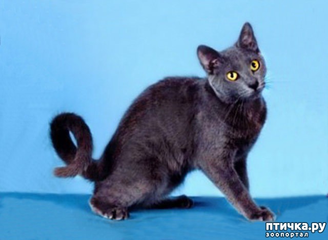 ���� 5: ������ �������?