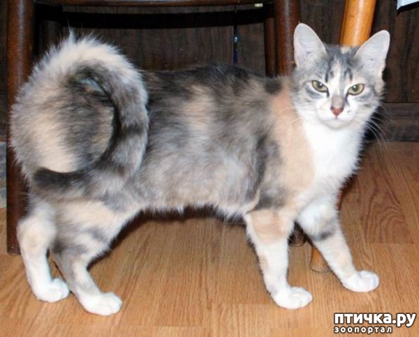 ���� 6: ������ �������?