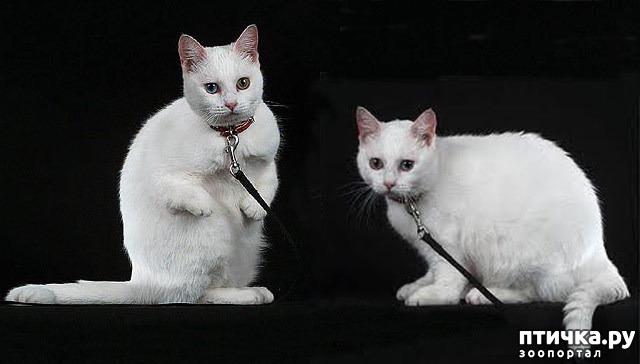 ���� 7: ������ �������?