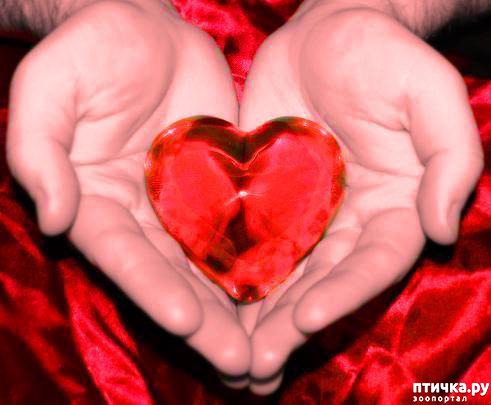 ���� 1: � ���� ���� ���������!