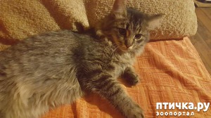 ����: ��� �������, ��� ��� ���� ����� �� ������� �����. ������ � ����� ��� �������� �� ����