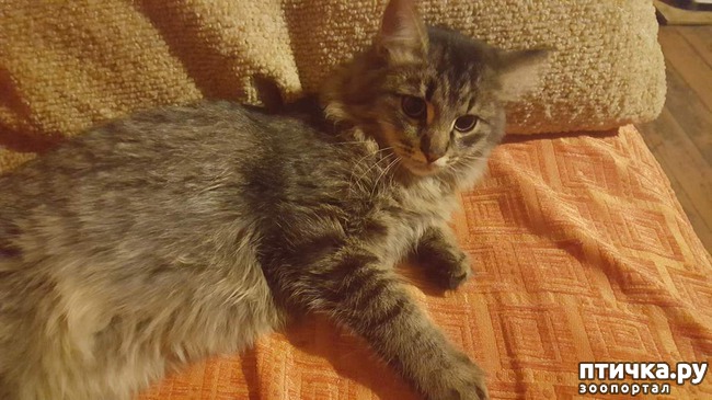 ���� 1: ��� �������, ��� ��� ���� ����� �� ������� �����. ������ � ����� ��� �������� �� ����