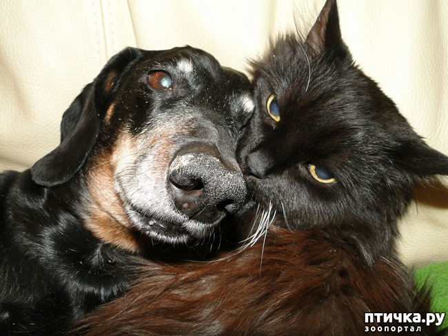 ���� 4: � ���� ���� ���������!