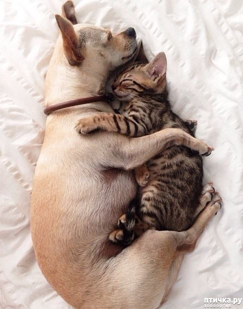 ���� 5: � ���� ���� ���������!